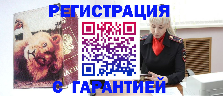 прописка от собственника в Курске